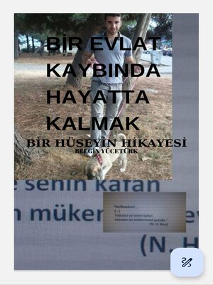cover image of BİR EVLAT KAYBINDA HAYATTA KALMAK